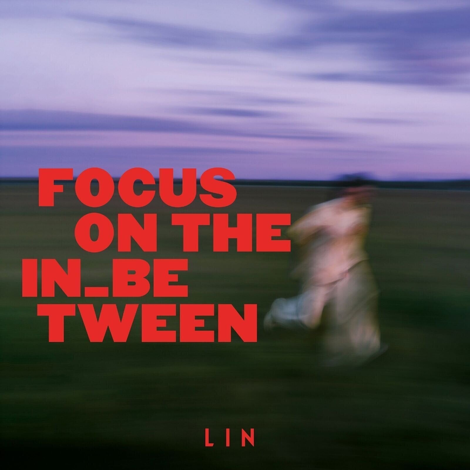 Δίσκος LP Lin - Focus on the In_between (LP)