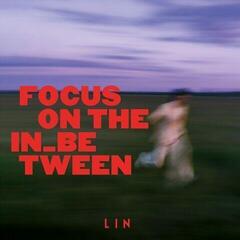 Δίσκος LP Lin - Focus on the In_between (LP)
