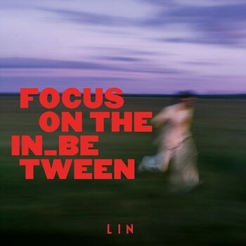 Δίσκος LP Lin - Focus on the In_between (LP) - 1