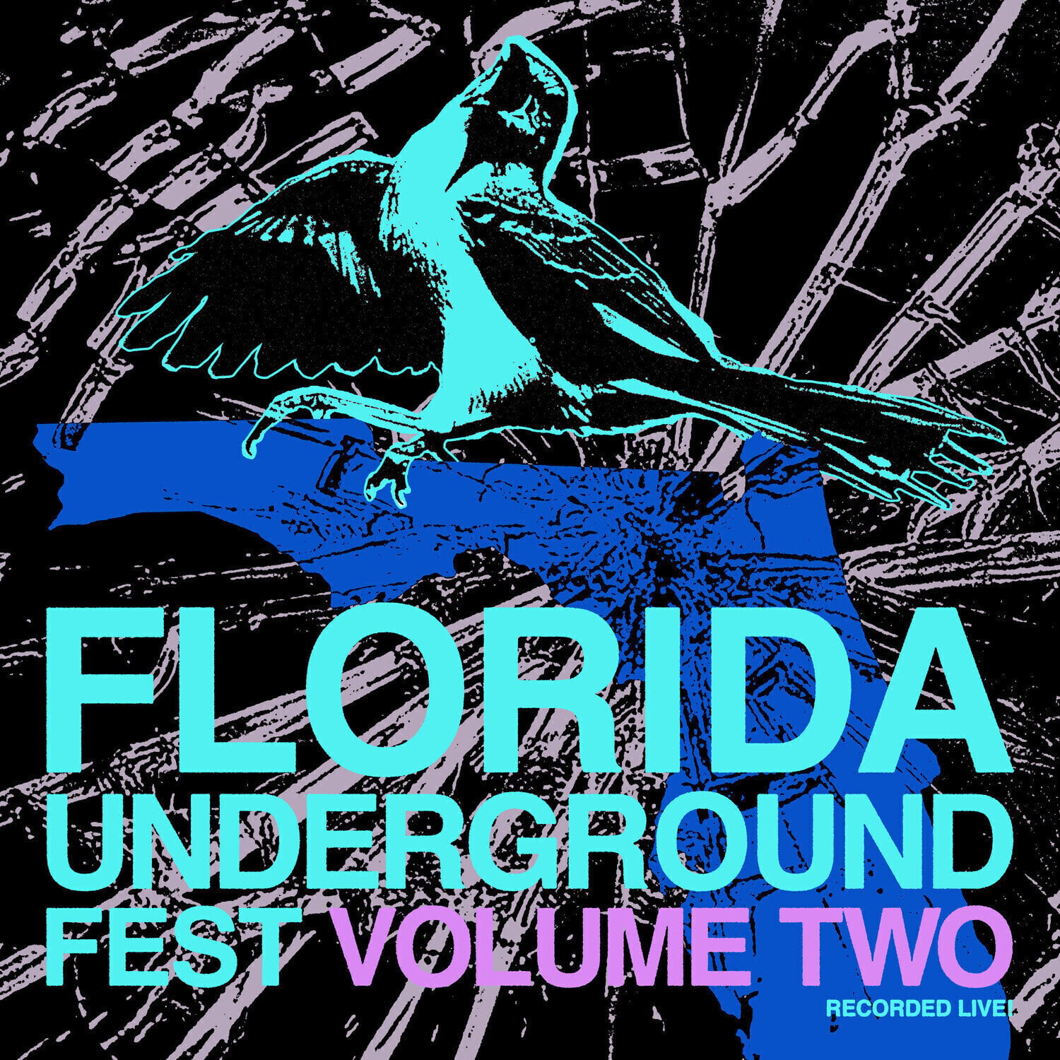 Disque vinyle Various Artists - Florida Underground Fest Vol.2 (LP)