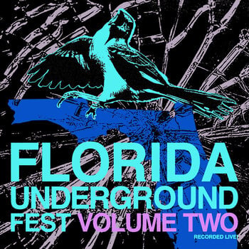 Disque vinyle Various Artists - Florida Underground Fest Vol.2 (LP) - 1
