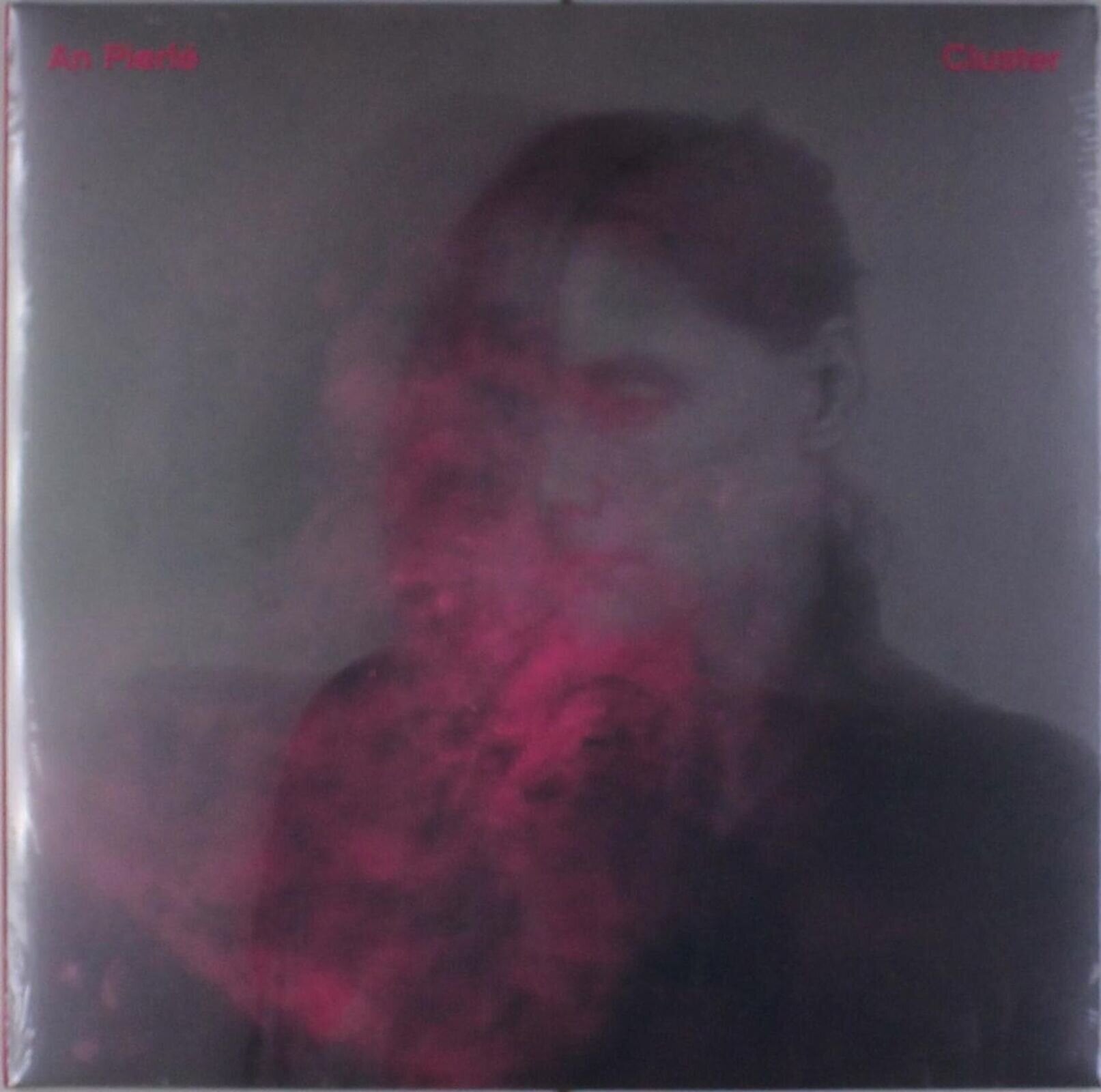 Disco in vinile An Pierlé - Cluster (LP)