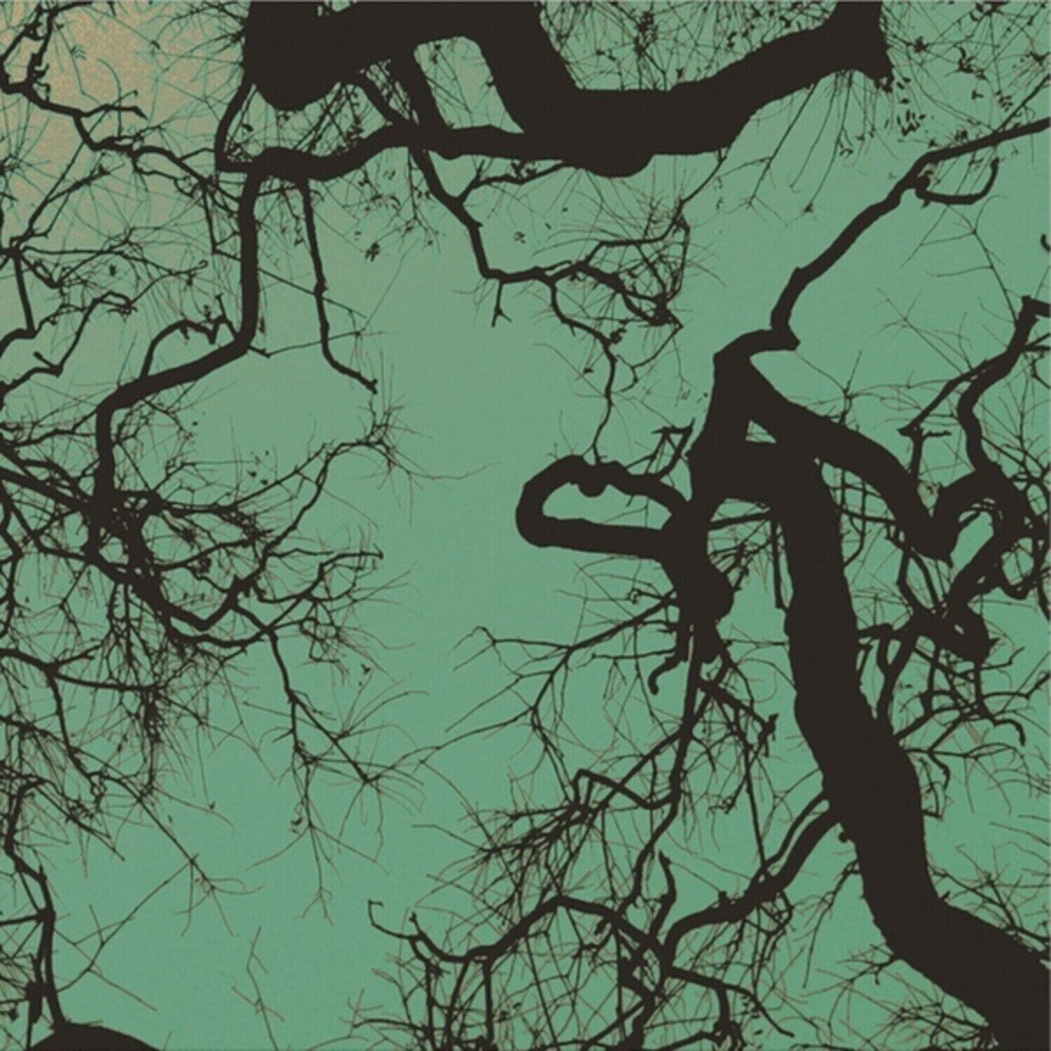 LP deska Follakzoid - Föllakzoid (Reissue) (Galaxy /Green Coloured) (LP)