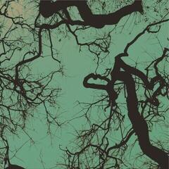 LP deska Follakzoid - Föllakzoid (Reissue) (Galaxy /Green Coloured) (LP)