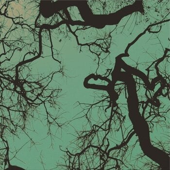 LP deska Follakzoid - Föllakzoid (Reissue) (Galaxy /Green Coloured) (LP) - 1