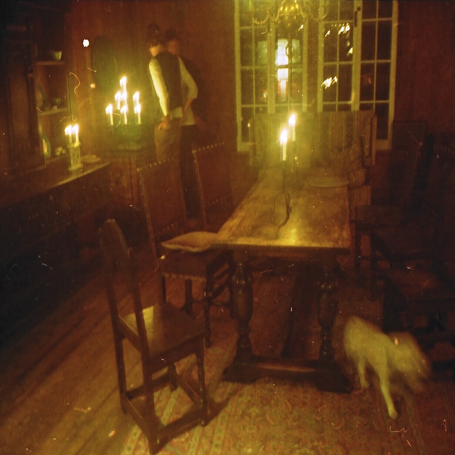 Грамофонна плоча Waveform* - Last Room (Limited Edition) (Blue Coloured) (LP)