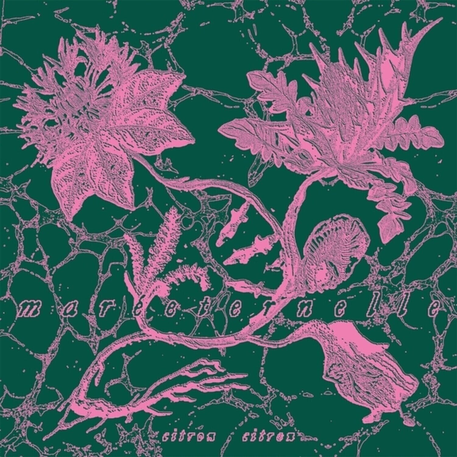 Płyta winylowa Citron Citron - Mareeternelle (LP)