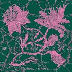 Płyta winylowa Citron Citron - Mareeternelle (LP)
