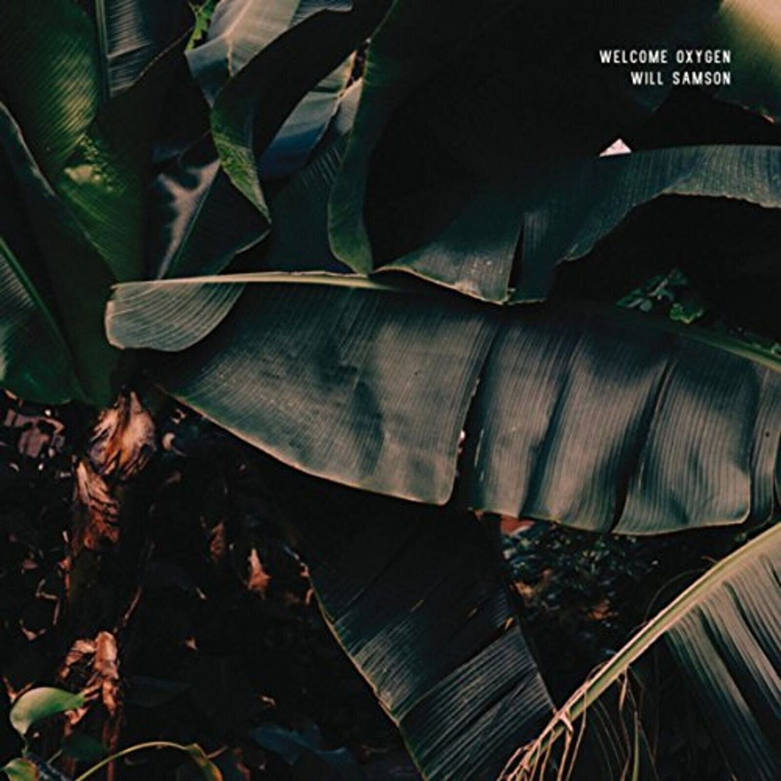 Disco de vinil Will Samson - Welcome Oxygen (LP)