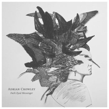 LP Adrian Crowley - Dark Eyed Messenger (Deluxe Edition) (180 g) (LP) - 1