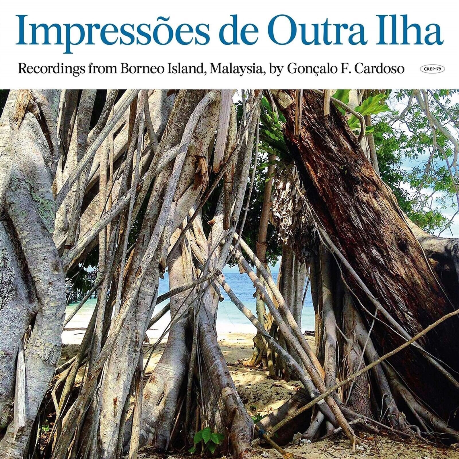 Vinyl Record Gonçalo F Cardoso - Impressões De Outra Ilha (Borneo) (LP)