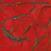 Δίσκος LP L'Eclair - Confusions (Limited Edition) (2 LP)