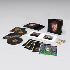 LP plošča John Grant - Boy From Michigan (Box Set) (2 LP)