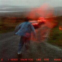 Грамофонна плоча SOAK - If I Never Know You Like This Again (LP)