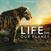 Vinylskiva Lorne Balfe - Life On Our Planet (Transparent Sea Blue Grams Coloured) (140 g) (LP)