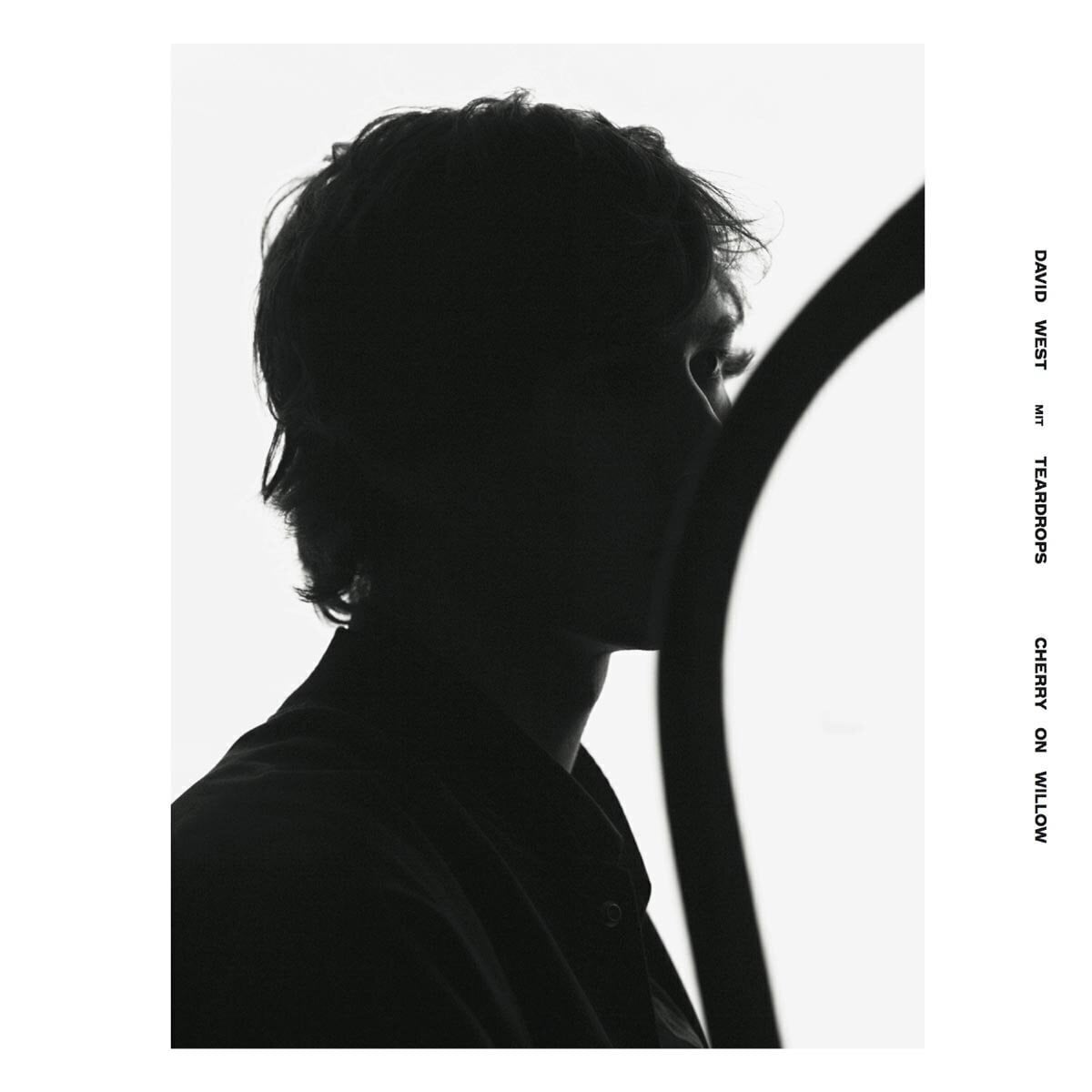 LP deska David West - Cherry On Willow (Limited Edition) (Coloured) (LP)