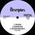 Vinila plate Disciples Riddim Section - The Rush / Heartical Stepper (LP)