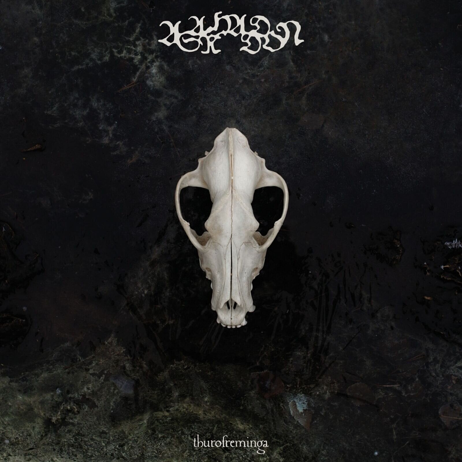 Disc de vinil Asarhaddon - Thurofreminga (LP)