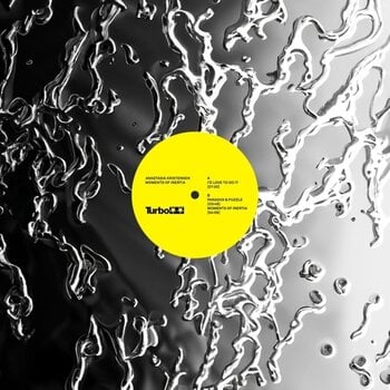 Vinyylilevy Anastasia Kristensen - Moments Of Inertia (LP) - 1