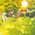 LP The Essex Green - Everything Is Green (Reissue) (Lime Green Coloured) (LP)