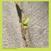Disc de vinil Booker Stardrum - Close-up On The Outside (LP)