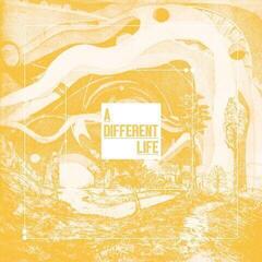 Vinylskiva Catt - A Different Life (LP)