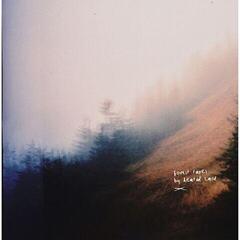 Vinylplate Heated Land - Forest Tapes (LP)