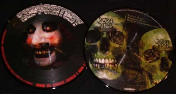Schallplatte Jigsore Terror - Split (Picture Disc) (LP) - 1