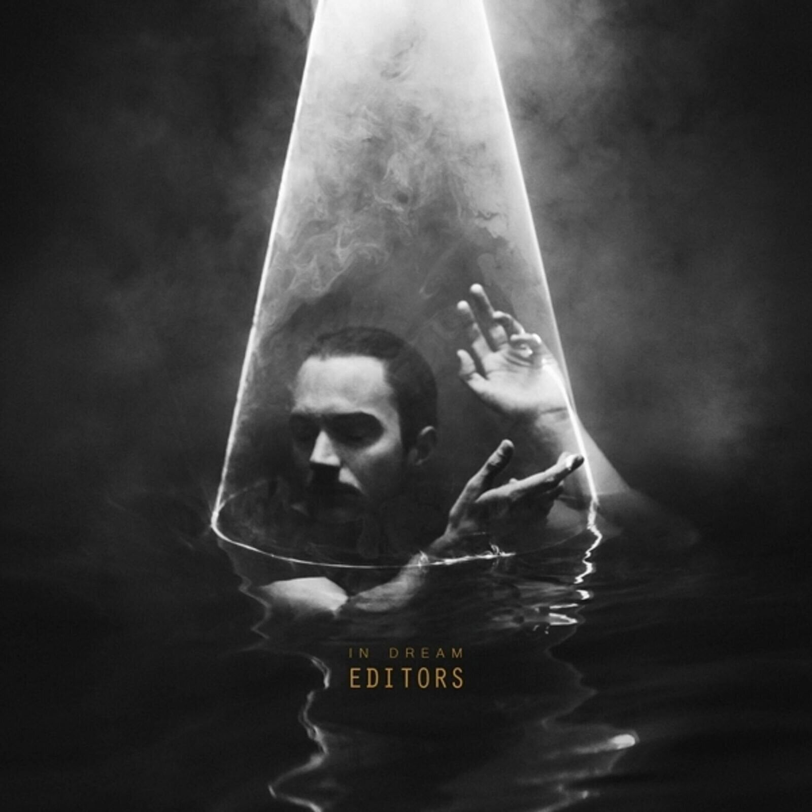 Vinylplade Editors - In Dream (LP)