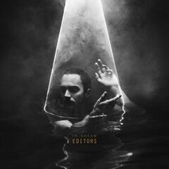 Vinylplade Editors - In Dream (LP)