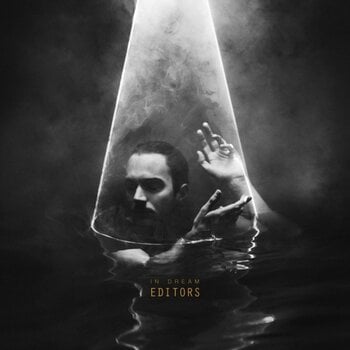 Vinylplade Editors - In Dream (LP) - 1