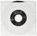 Vinyl Record The Mystery Lights - Too Many Girls (LP)