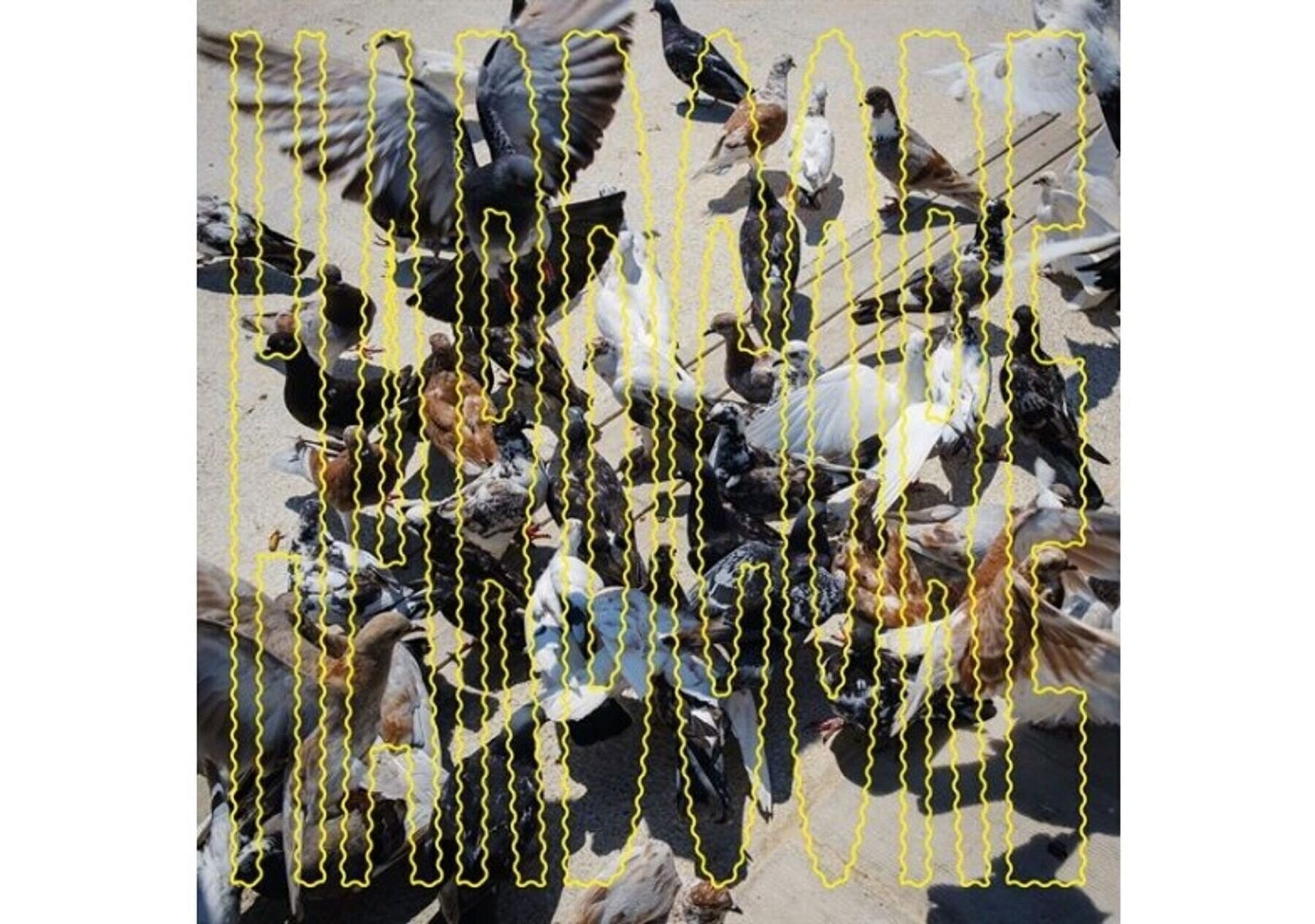 Disque vinyle Salò - Hardcore (Coloured) (LP)