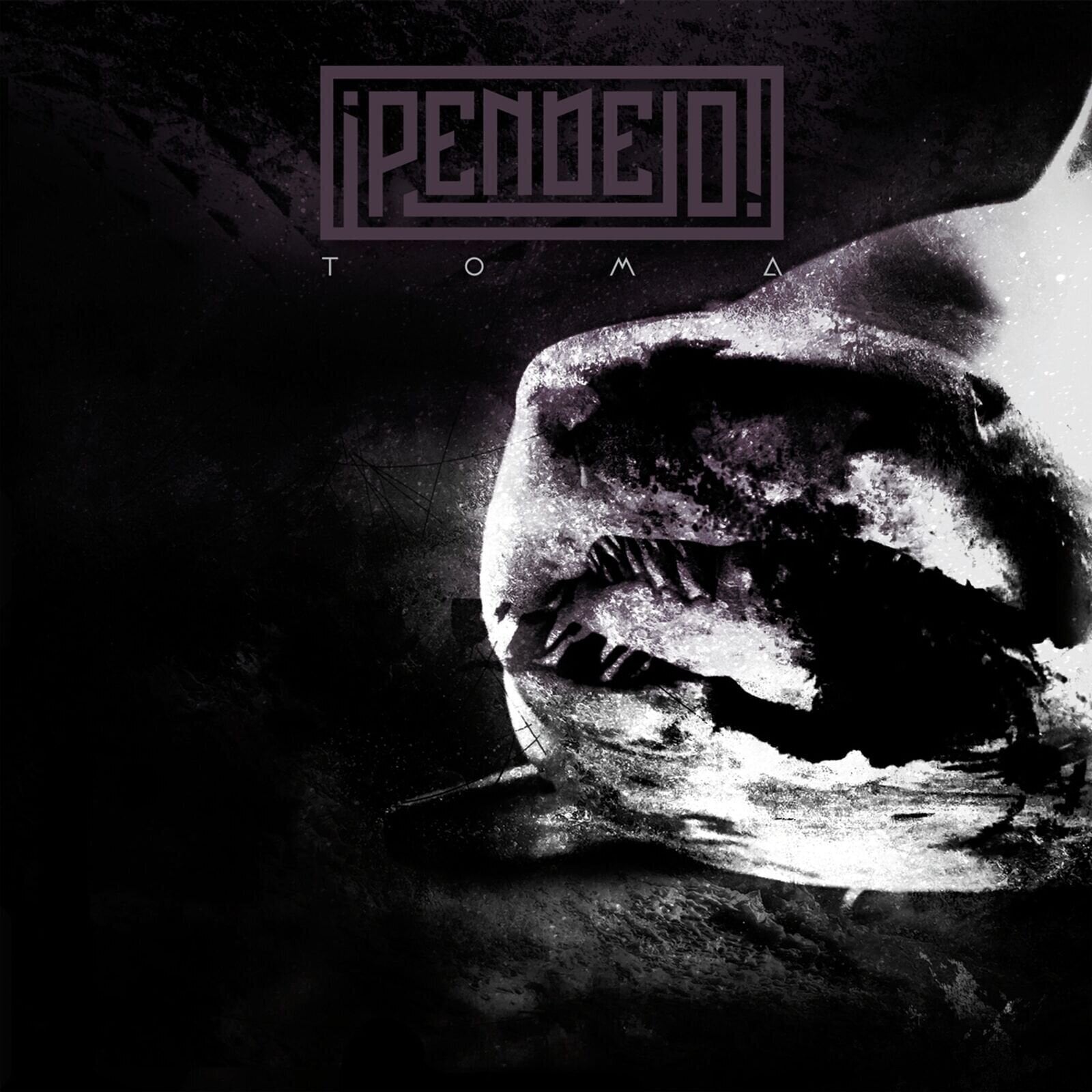 Vinyl Record Pendejo - Toma (LP)