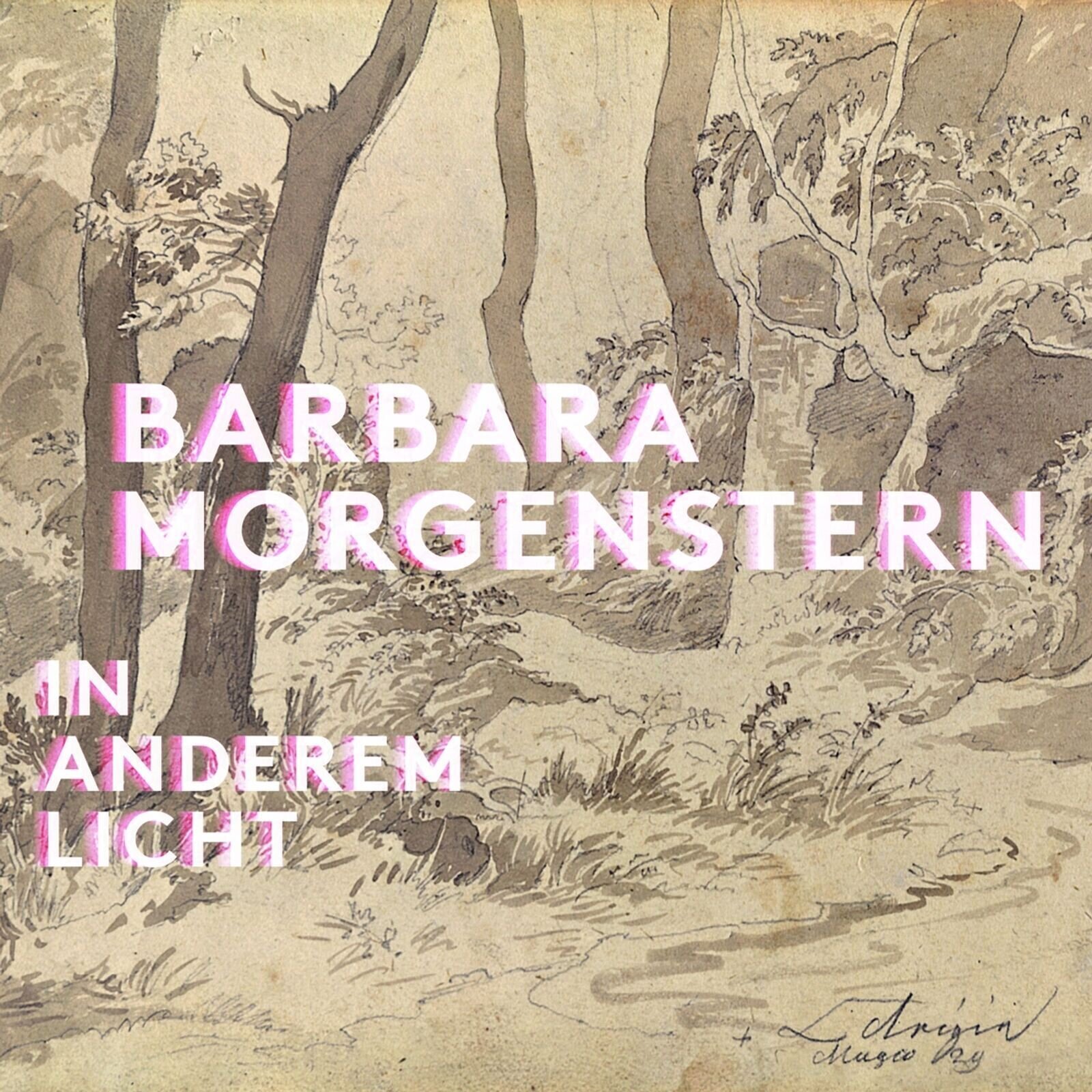 Vinylskiva Barbara Morgenstern - In Anderem Licht (Limited Edition) (2 LP)
