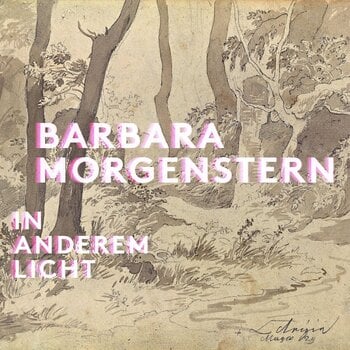 Vinylskiva Barbara Morgenstern - In Anderem Licht (Limited Edition) (2 LP) - 1