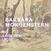 Vinylskiva Barbara Morgenstern - In Anderem Licht (Limited Edition) (2 LP)