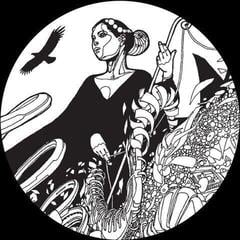 Disc de vinil Fhloston Paradigm - Cosmosis Vol 1 (LP)