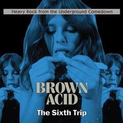 Vinylskiva Various Artists - Brown Acid: The Sixth Trip (Limited Edition) (LP)