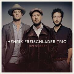 Disque vinyle Henrik Freischlader Trio - Openness (Limited Edition) (180 g) (2 LP)
