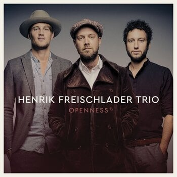 Disque vinyle Henrik Freischlader Trio - Openness (Limited Edition) (180 g) (2 LP) - 1