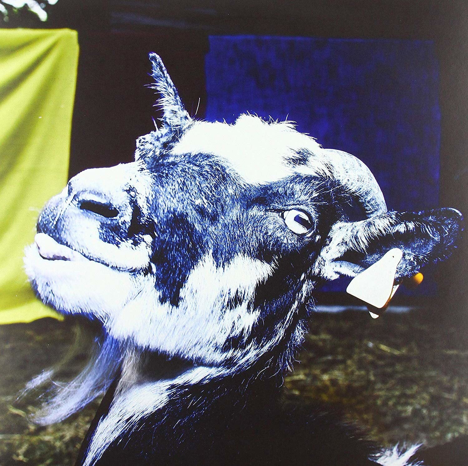 LP deska Barely Autumn - Day Trip To The Petting Zoo (High Quality) (Blue Coloured) (LP)