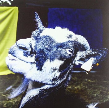 LP deska Barely Autumn - Day Trip To The Petting Zoo (High Quality) (Blue Coloured) (LP) - 1