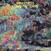 Vinyylilevy Makeness - Loud Patterns (Limited Edition) (Translucent Yellow Coloured) (LP)