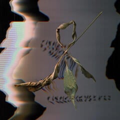 LP ploča T. Gowdy - Trill Scan (Limited Edition) (LP)