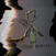 LP ploča T. Gowdy - Trill Scan (Limited Edition) (LP)
