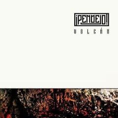 Vinyl Record Pendejo - Volcan (LP)