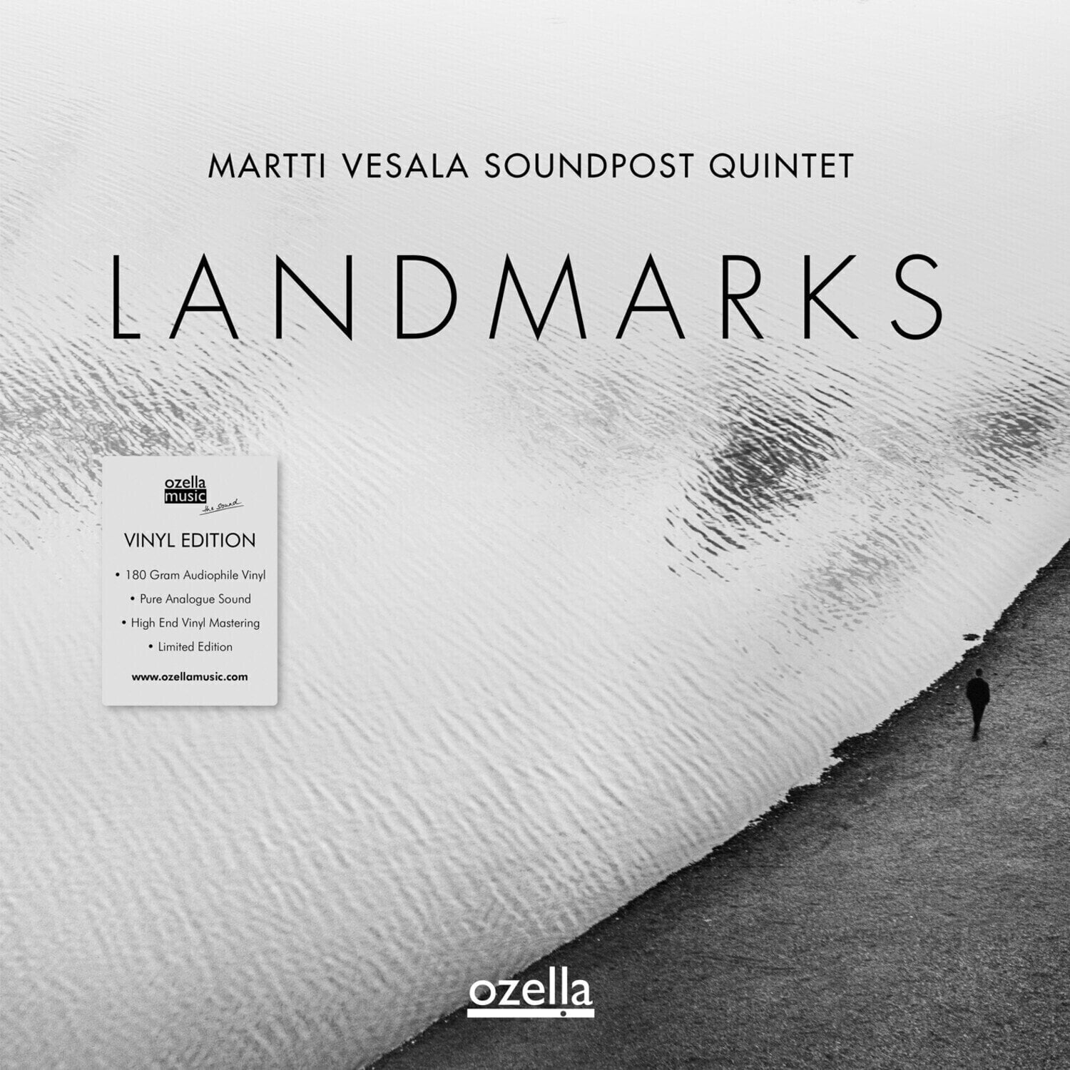 Disc de vinil Martti Vesala Soundpost Quintet - Landmarks (Limited Edition) (180 g) (LP)