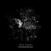 Vinyl Record Ryan Teague - Last Known Position (EP)