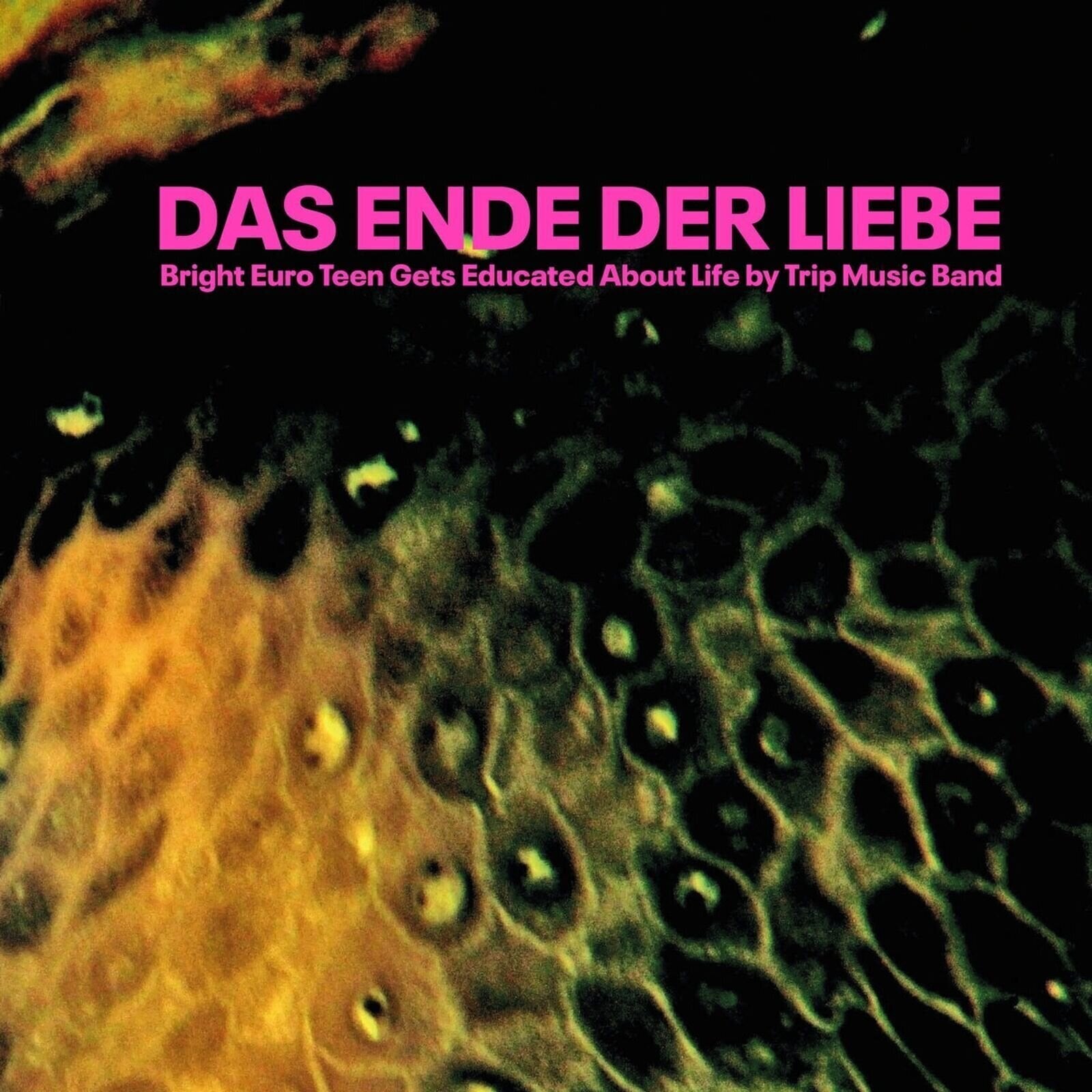 LP ploča Das Ende der Liebe - Bright Euro Teens Get Educated About Life by Trip (LP)